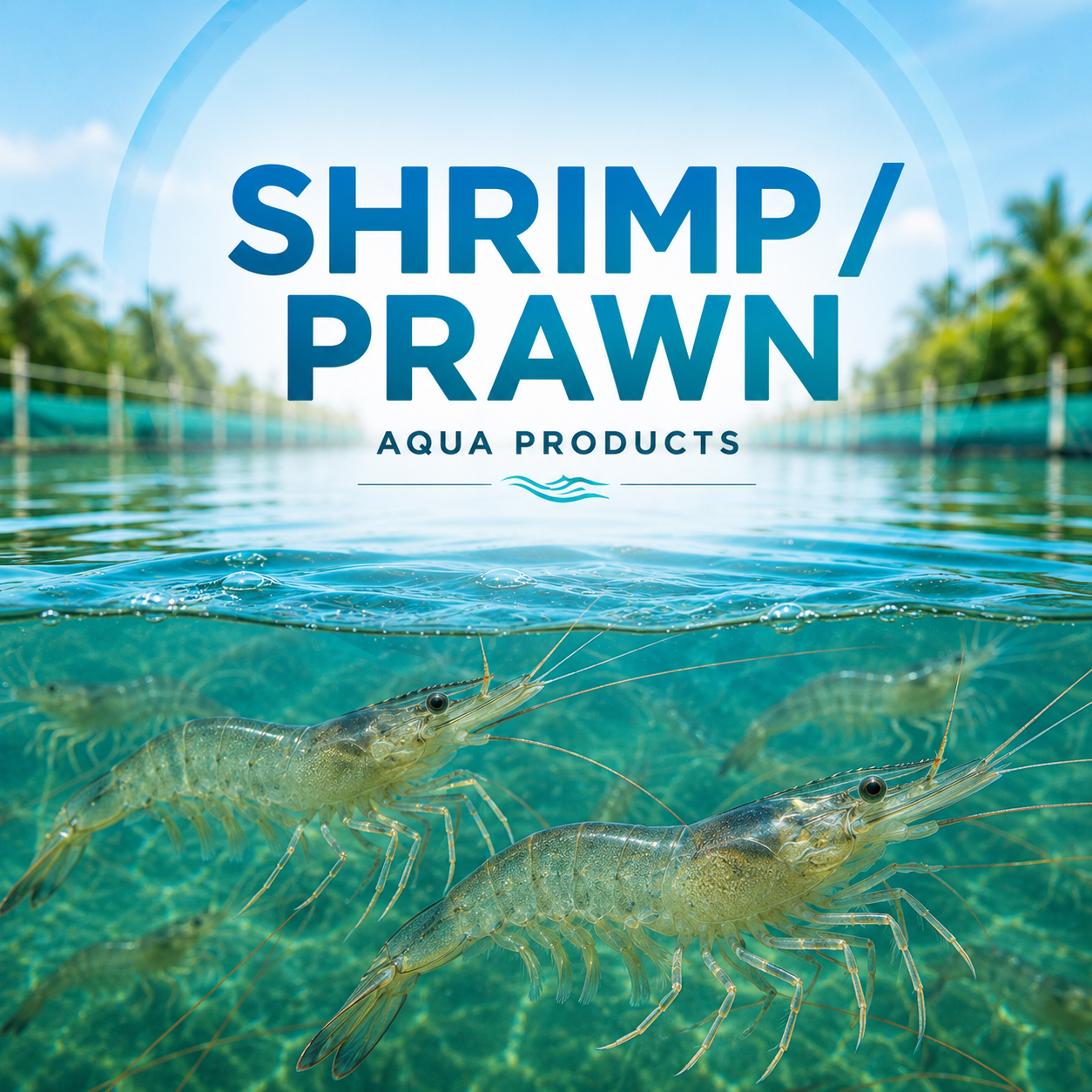 SHRIMP / PRAWN MINERALS
